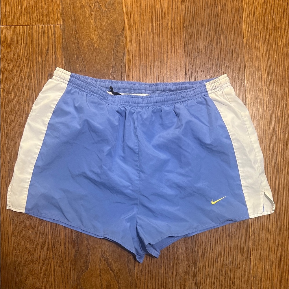 Nike Blue and White Running Shorts